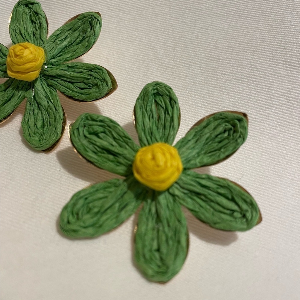 Pierced Earrings